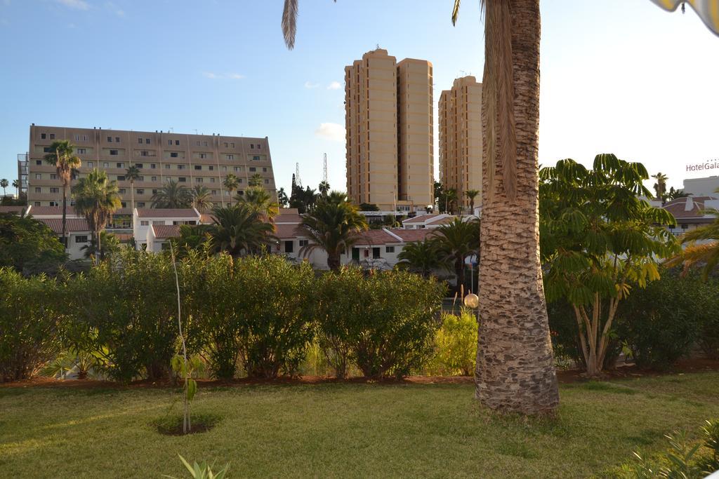 Paradero I Playa de las Americas  Luaran gambar